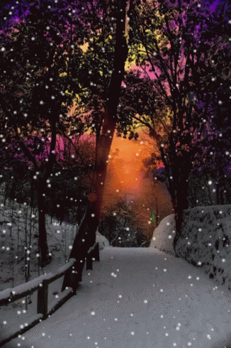 Animation Tree GIF - Animation Tree Snowfall GIFs