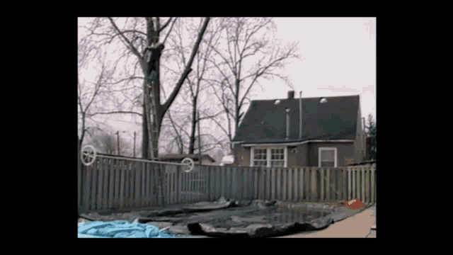 a backyard with a fence and a tree in the background