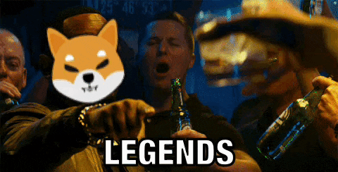 a group of men are drinking beer and one of them has a shiba inu on his head