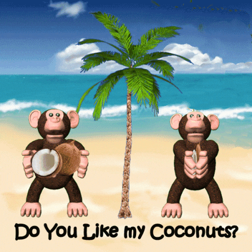 two monkeys on a beach holding coconuts with the words do you like my coconuts below them
