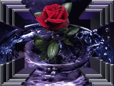 Rose Purple GIF - Rose Purple Animation GIFs