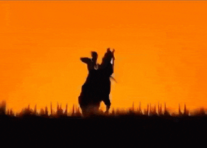 a silhouette of a man riding a horse with a sword in the air .