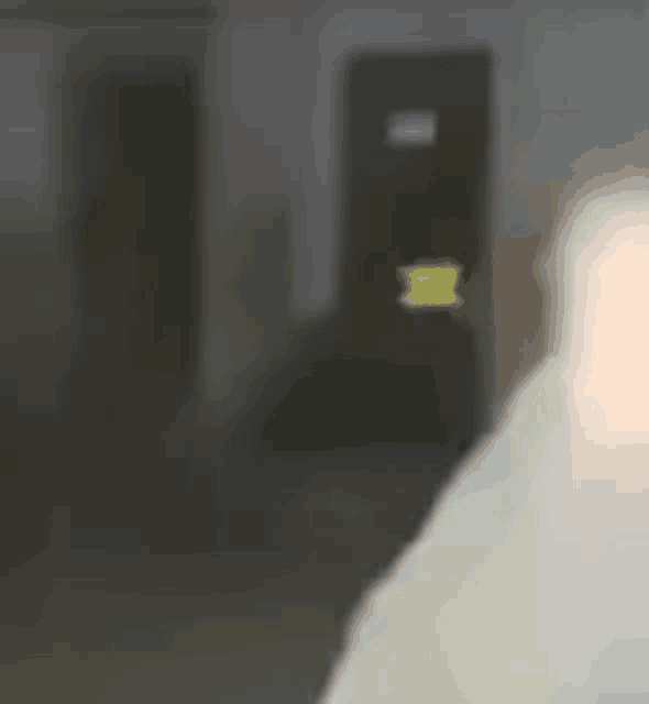 a blurry picture of a person standing in a room with a door in the background .