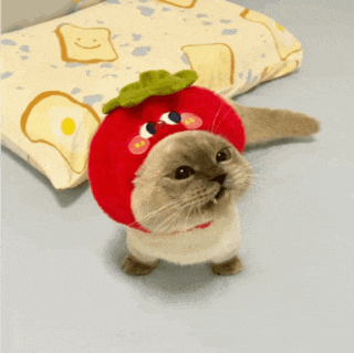 a cat wearing a strawberry hat is standing in front of a pillow