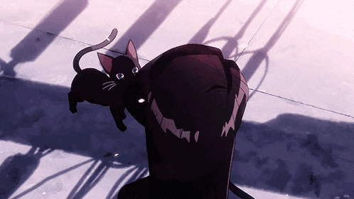 a black cat is sitting on a person 's shoulder