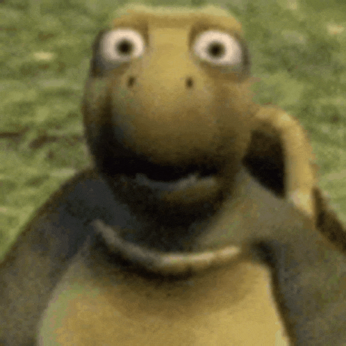 Huh Shocked Turtle GIF - Huh Shocked Turtle GIFs