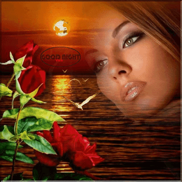 a picture of a woman with red roses and a good night message