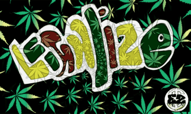 a black background with green yellow and red marijuana leaves and the words legalize