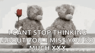 two teddy bears are standing next to each other and one is holding a red rose .