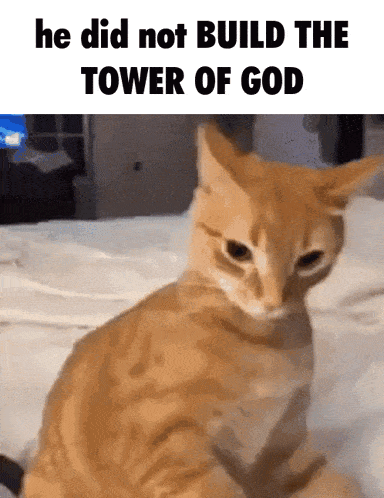 Build The Tower Of God GIF - Build The Tower Of God GIFs