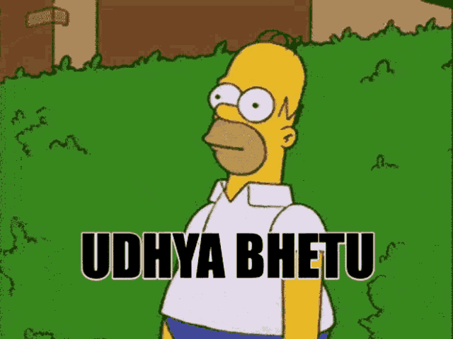 a cartoon of homer simpson standing in the grass with the words udhya bhetu written above him