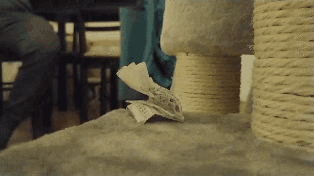 a receipt is laying on a cat tree