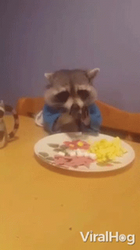 Eating Viralhog GIF - Eating Viralhog Feeding GIFs