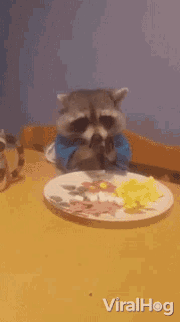 a raccoon sitting at a table with a plate of food on it