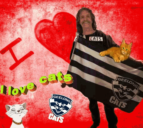 Cats Geelong Cats GIF