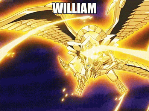 William William William GIF