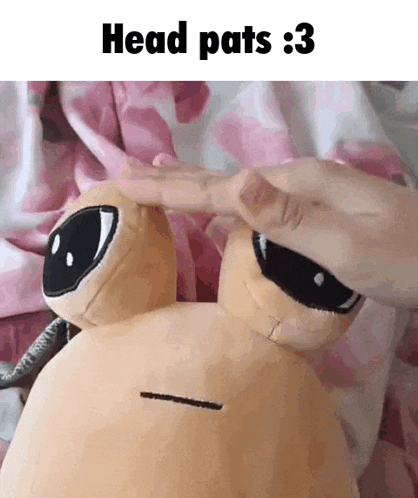 a person is touching a stuffed animal 's head with their finger and the caption reads head pats : 3