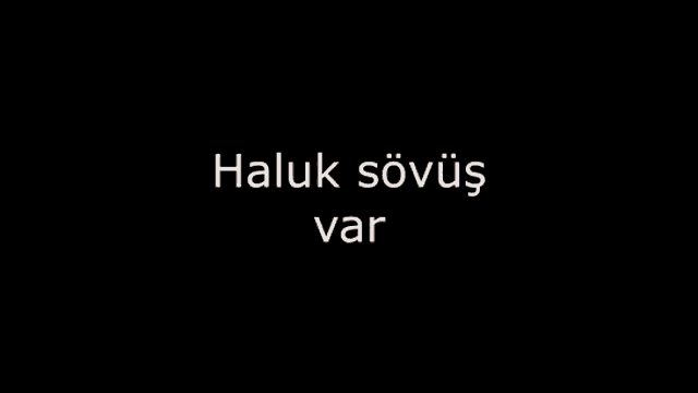 a close up of a dog 's face with the word haluk above it