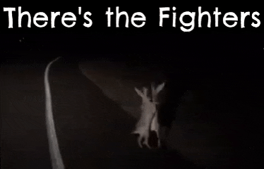 a black and white photo of a rabbit flying through the air with the words `` there 's the fighters '' .