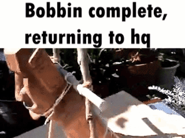 Troll Complete Troll GIF - Troll Complete Troll Troll Complete Returning To Hq GIFs