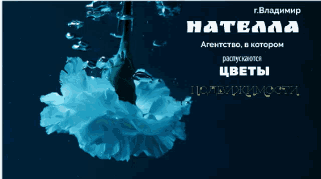 a poster with a blue flower and the words " hatella " on it