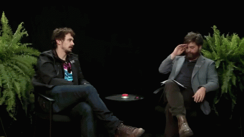 Is That How Many Hours You Look In The Mirror Per Day? GIF - Jamesfranco Zachgalifianakis Betweentwoferns GIFs