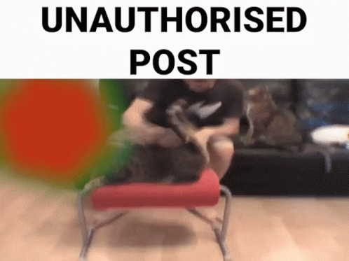 Unauthorised Unauthorised Cat GIF - Unauthorised Unauthorised Cat Unauthorised Post GIFs