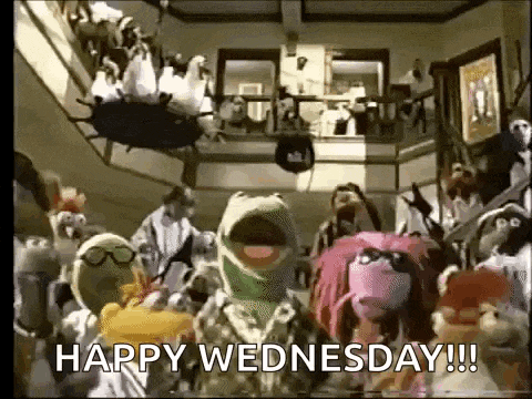 a group of stuffed animals are standing in a room with the words `` happy wednesday ! ''