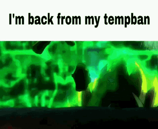 a green background with the words `` i 'm back from my tempban '' written on it