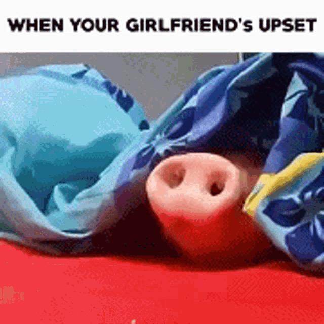 When Your Gf Is Upset Pig GIF - When Your Gf Is Upset Pig Eat GIFs