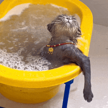 a cat is taking a bath in a small yellow tub
