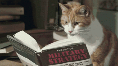 Cat Military Strategy GIF - Cat Military Strategy Bold GIFs