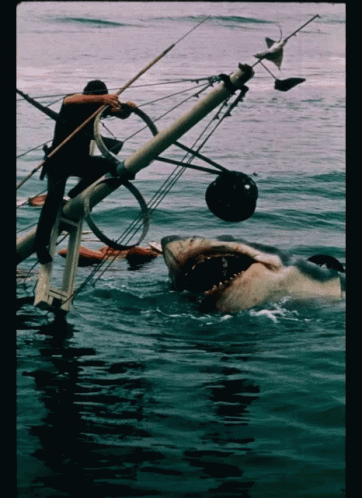 Movies Jaws GIF - Movies Jaws Shark Attack GIFs