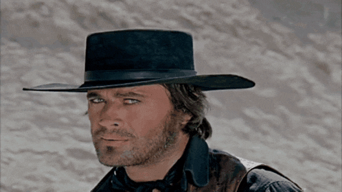 a man with a beard wearing a cowboy hat