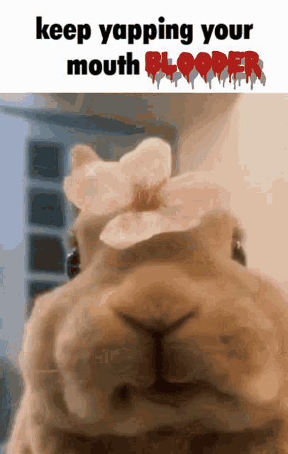 a close up of a rabbit with a flower in its mouth and the words keep yapping your mouth blooder