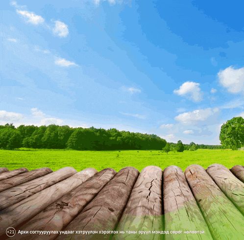 a picture of a grassy field with trees in the background has the number 21 on it