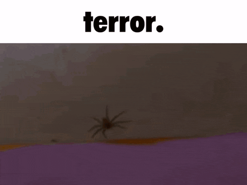 a man in a white shirt holds a pink object in front of a woman laying on a bed under the word terror