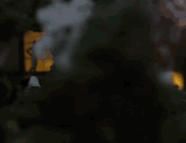 a blurry picture of a person standing in front of a house at night