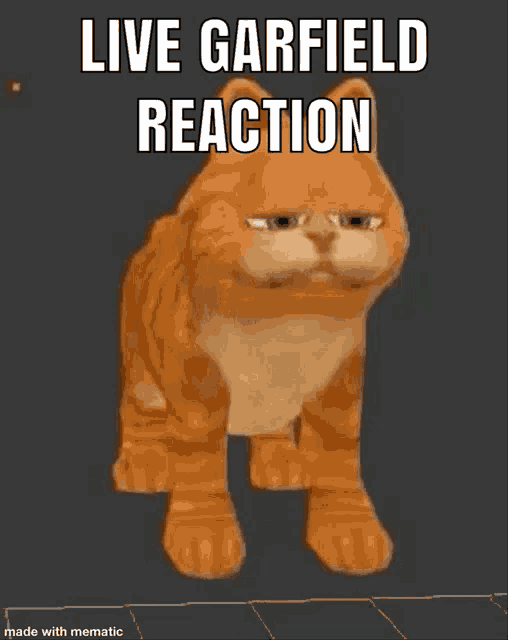 a cartoon cat with the words live garfield reaction above it