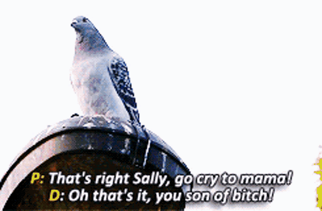 a man in a blue jacket says that 's right sally go cry to mama and oh that 's it you son of bitch