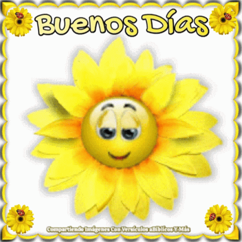 Buenos Dias Good Morning GIF - Buenos Dias Good Morning Flower GIFs