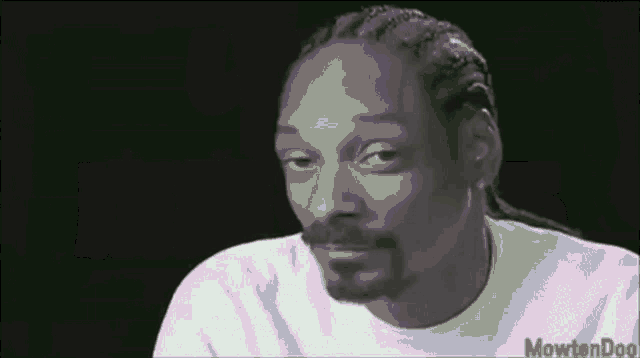 a green and purple background with the word movtondoo on the bottom