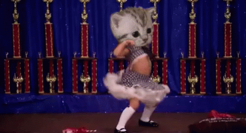 Work It, Kitty GIF - Cat Dancemoms Werk GIFs