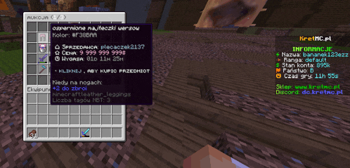 a screenshot of a minecraft game shows a item in a inventory
