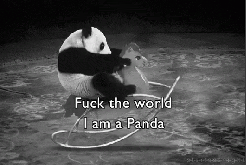 Panda GIF - Chinese Panda Screwit GIFs