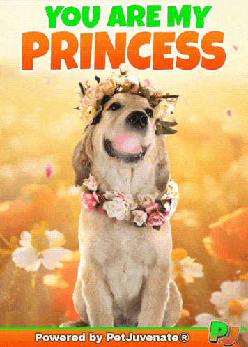 a dog is wearing a flower crown and says you are my princess