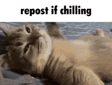 a cat is laying on its back with the words repost if chilling below it