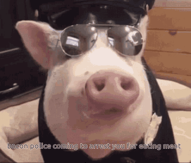 Pig Police GIF - Pig Police Vegetarian GIFs