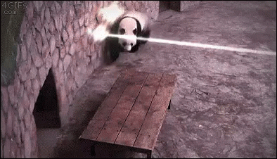 Ninja Panda GIF - Ninja Panda Lasers GIFs