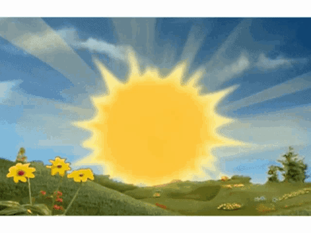 the sun is shining brightly over a field of flowers